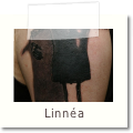 Linnea