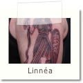 Linnea