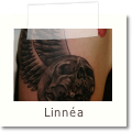 Linnea
